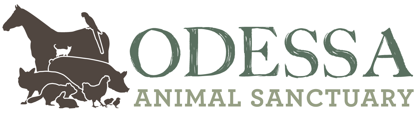 Odessa Animal Sanctuary, Inc. 501c3 Non-Profit Organization