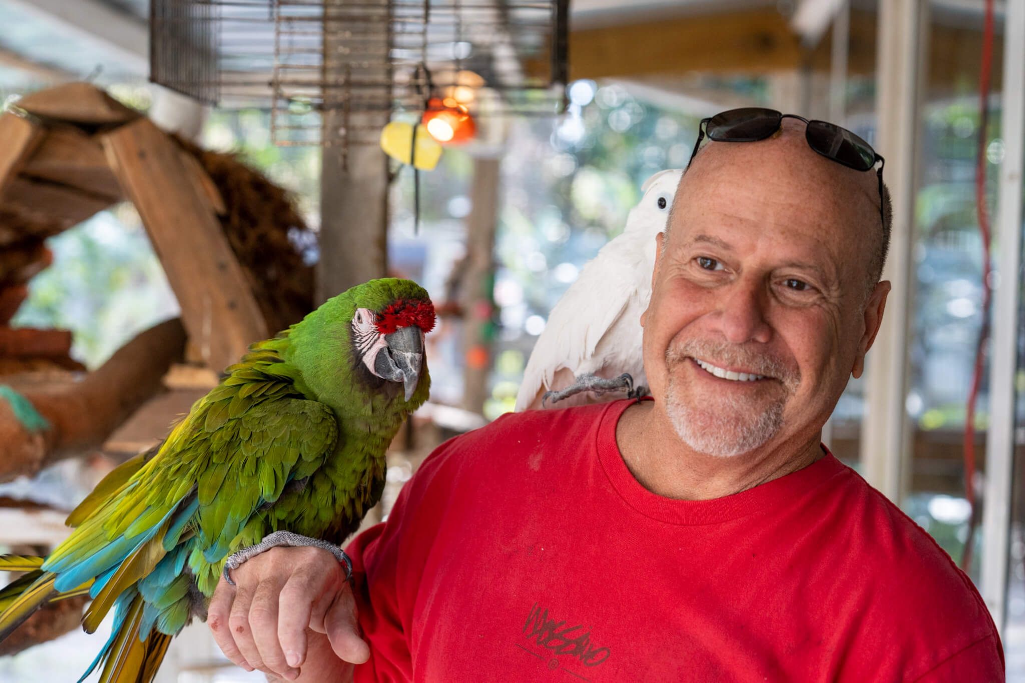 Rescued animals thriving