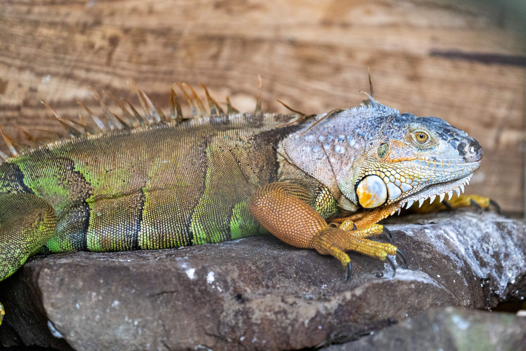 Beautiful sanctuary grounds