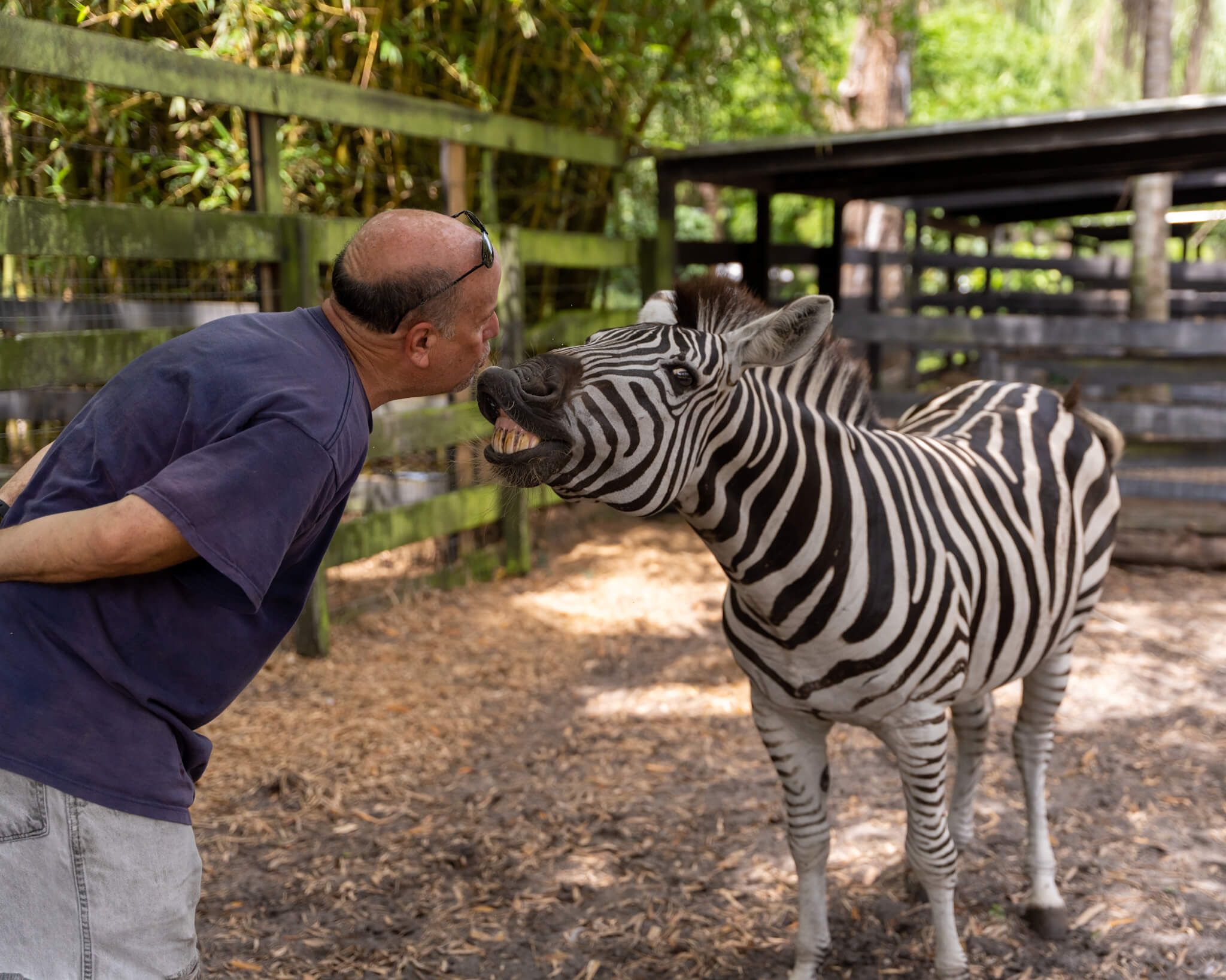 Sanctuary caretaker giving hands-on attention to a rescued animal
