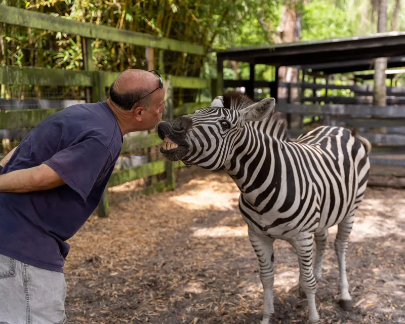 Sanctuary residents at Odessa Animal Sanctuary